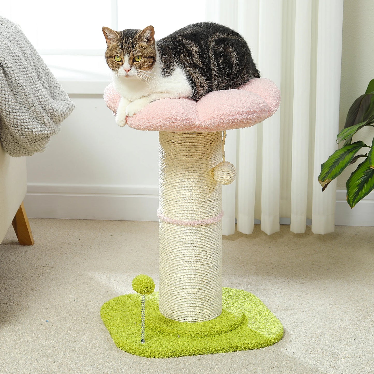 PEQULTICN Flower Cat Scratching Post Tree For Indoor Cats