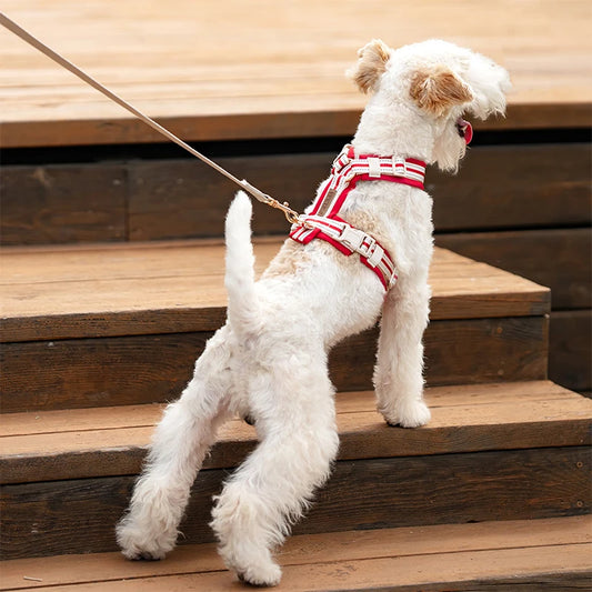 Choice Adjustable Y Shaped Dog Harness Reflective Straps For Puppy